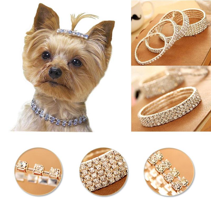 Pet Crystal Choker Collar. Stunning. Collars GreatmyPet 