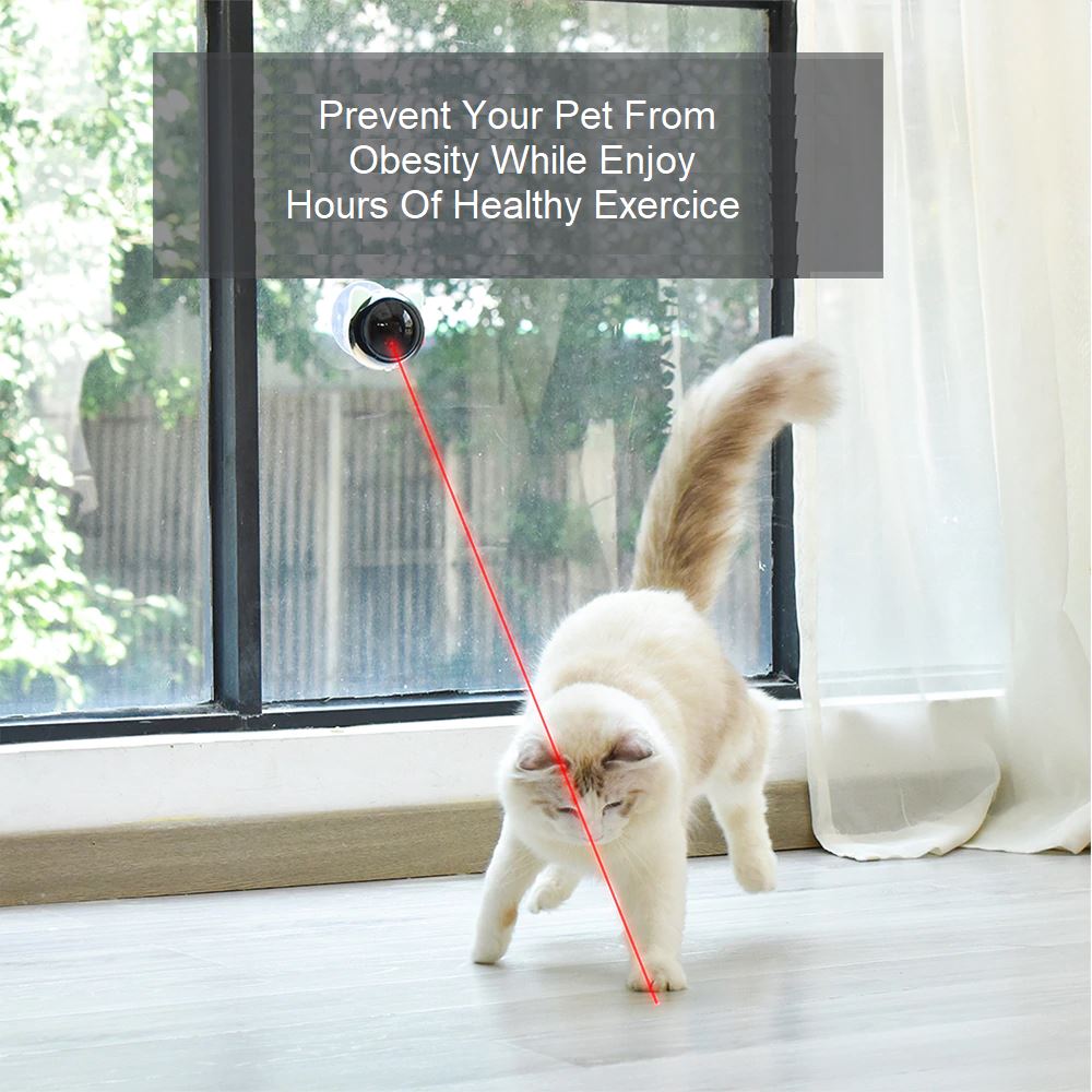 Hand-Free Pet Toy Laser - More Fun More Healthy Cat Toys GreatmyPet 