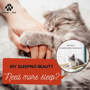 Cat Hammock Hanging Beds. Window Cat Bed. Cat Beds & Mats GreatmyPet 