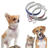 Pet Crystal Collar. One Of A Kind Collars GreatmyPet 