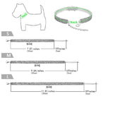 Pet Crystal Collar. One Of A Kind Collars GreatmyPet 