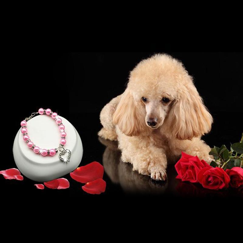 Dog Collar Heart Pendant. Special Edition. Dog Accessories GreatmyPet 