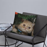 Custom Photo - Pet Printed Basic Pillow GreatmyPet 