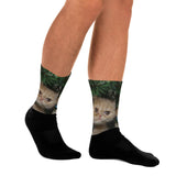 Custom Photo - Pet Printed Socks GreatmyPet 