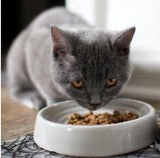 eBook "100 Recipes For your Feline Friend" ebook GreatmyPet 