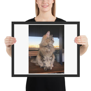 Custom Photo - Pet Framed poster GreatmyPet Black 16×20