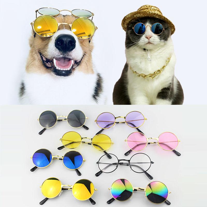 Fashion Sunglasses For Pets Pet Sunglasses GreatmyPet 