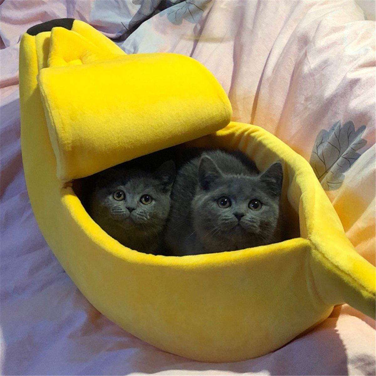 KittyPeel - Pet Banana Hideaway GreatmyPet 