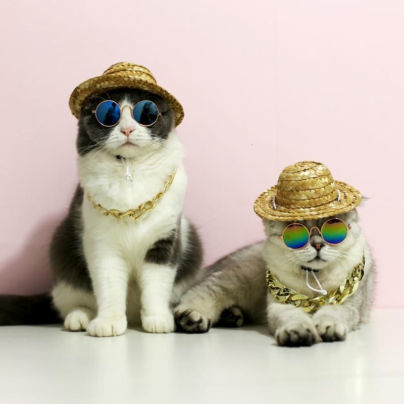 Fashion Sunglasses For Pets Pet Sunglasses GreatmyPet 