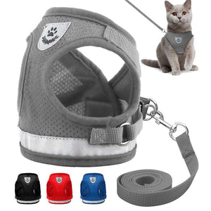 Cat Pack- Universal Cat Harness GreatmyPet 