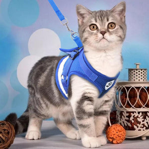 Cat Pack- Universal Cat Harness GreatmyPet 