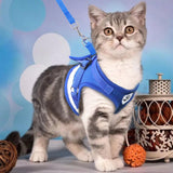 Cat Pack- Universal Cat Harness GreatmyPet 