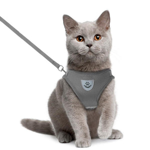 Cat Pack- Universal Cat Harness GreatmyPet 