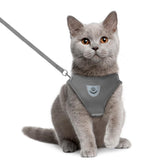 Cat Pack- Universal Cat Harness GreatmyPet 