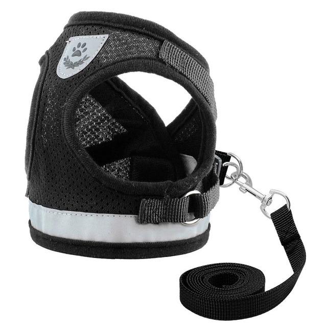 Cat Pack- Universal Cat Harness GreatmyPet Black XL 
