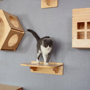 Cat Wooden Jumping Platforms Cat Lovers GreatmyPet 