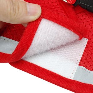 Cat Pack- Universal Cat Harness GreatmyPet 