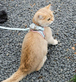 PawTrav-Walking Cat Harness GreatmyPet 