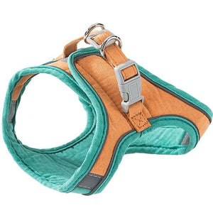 PawTrav-Walking Cat Harness GreatmyPet Orange M 