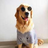 Fashion Sunglasses For Pets Pet Sunglasses GreatmyPet 