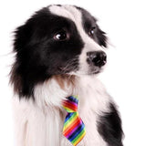 Fashionable And Trendy Dog Neck Ties Dog Accessories GreatmyPet 
